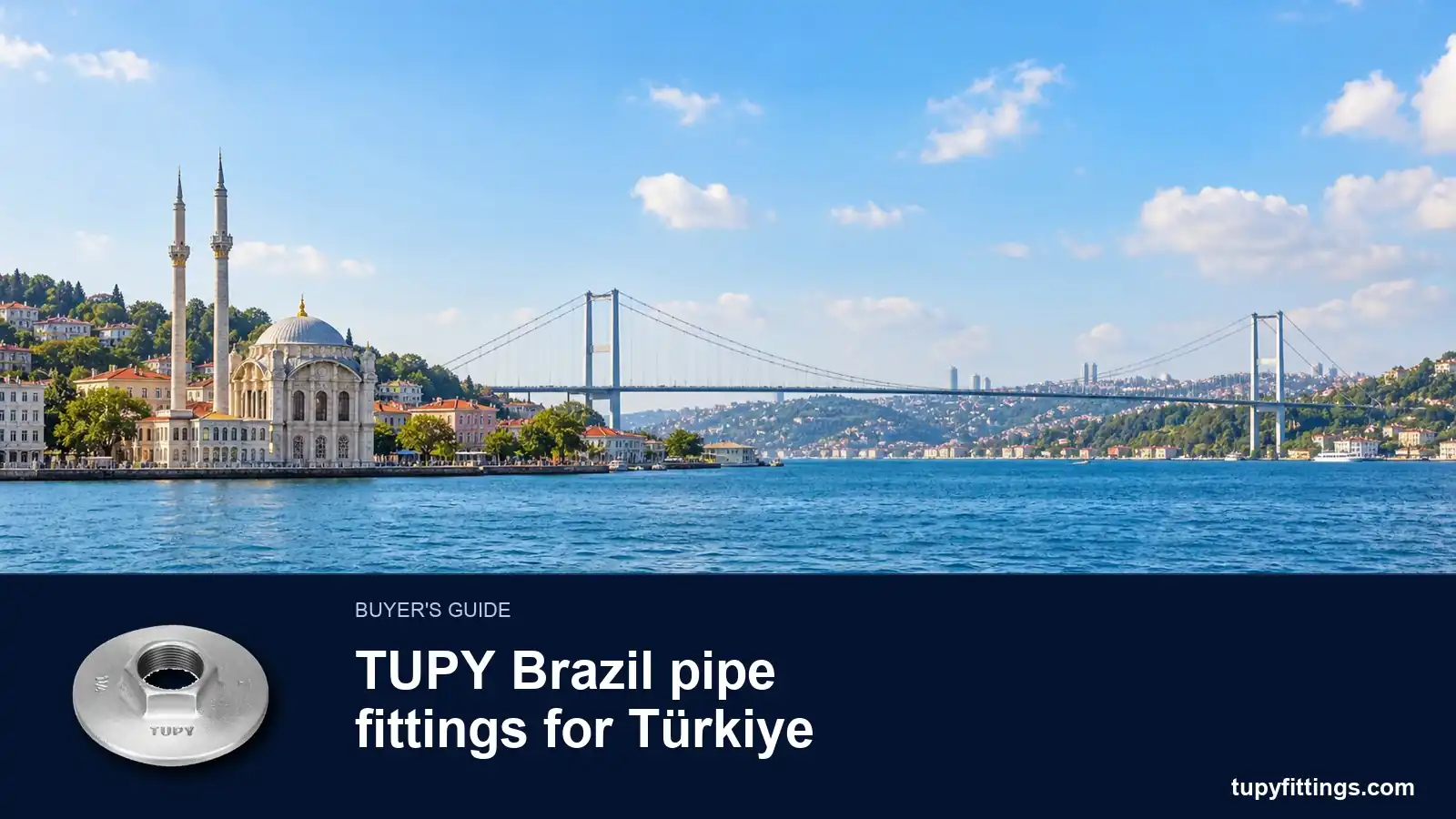Türkiye için TUPY Temper Döküm Fittings: Galvanizli ve Siyah, BSP ve NPT